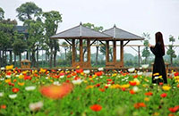 景區無線網橋為什么要成對使用？